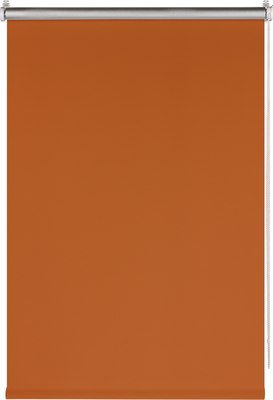 

Рулонная штора, Blackout Silver 160x175 / 7794892