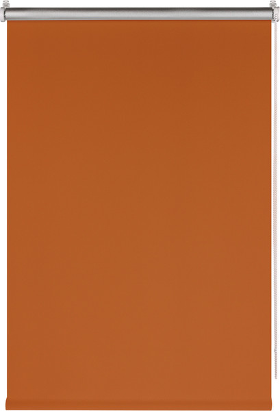 Рулонная штора Franc Gardiner Blackout Silver 160x175 / 7794892