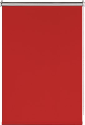 

Рулонная штора, Blackout Silver 90x160 / 7795226