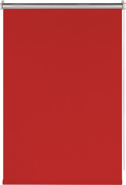 Рулонная штора Franc Gardiner Blackout Silver 100x160 / 7795233 (алый)