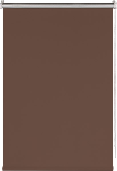 Рулонная штора Franc Gardiner Blackout Silver 160x175 / 7794762 (шоколад)