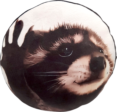 

Подушка-игрушка, Енот Педро / 9.451.2