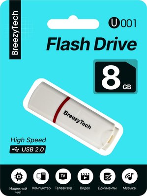 

USB flash накопитель, U001 8GB