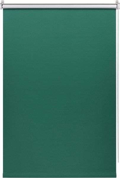 Рулонная штора Franc Gardiner Blackout Silver 110x160 / 97284331 (изумрудный)