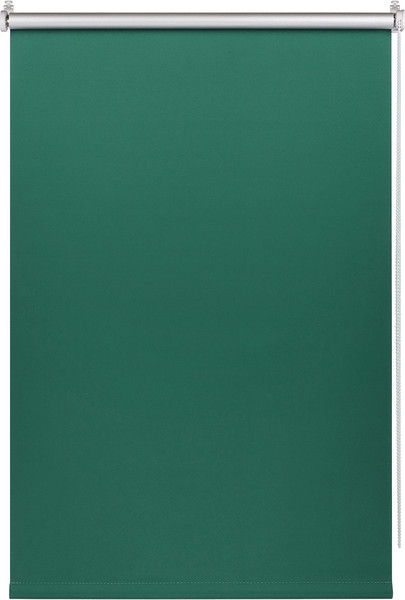 Рулонная штора Franc Gardiner Blackout Silver 120x160 / 97284332