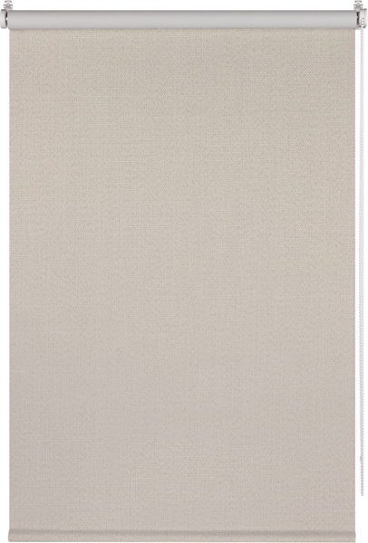 Рулонная штора Franc Gardiner Blackout Dublin 55x160 / 6530338 (бежевый)