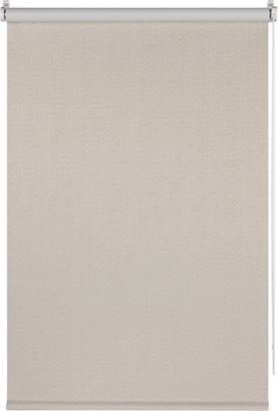 Рулонная штора Franc Gardiner Blackout Dublin 80x160 / 6530369 (бежевый)