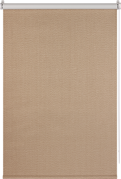 Рулонная штора Franc Gardiner Blackout Dublin 55x160 / 7799880 (коричневый)