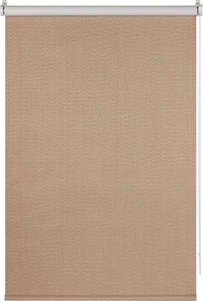 Рулонная штора Franc Gardiner Blackout Dublin 65x160 / 8317819 (коричневый)