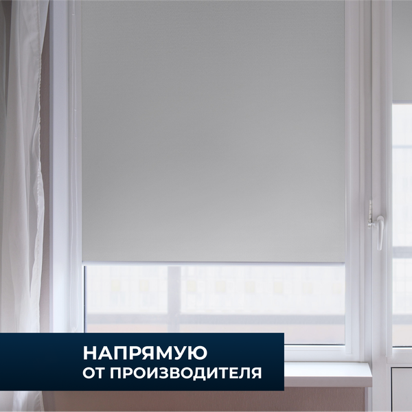 Рулонная штора Franc Gardiner Blackout Dublin 65x160 / 8317819 (коричневый)