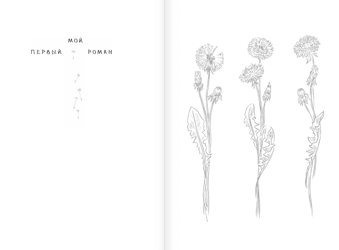Художественная книга АСТ Он мне приснился... Твердая обложка (Зартайская Ирина) — фото 3