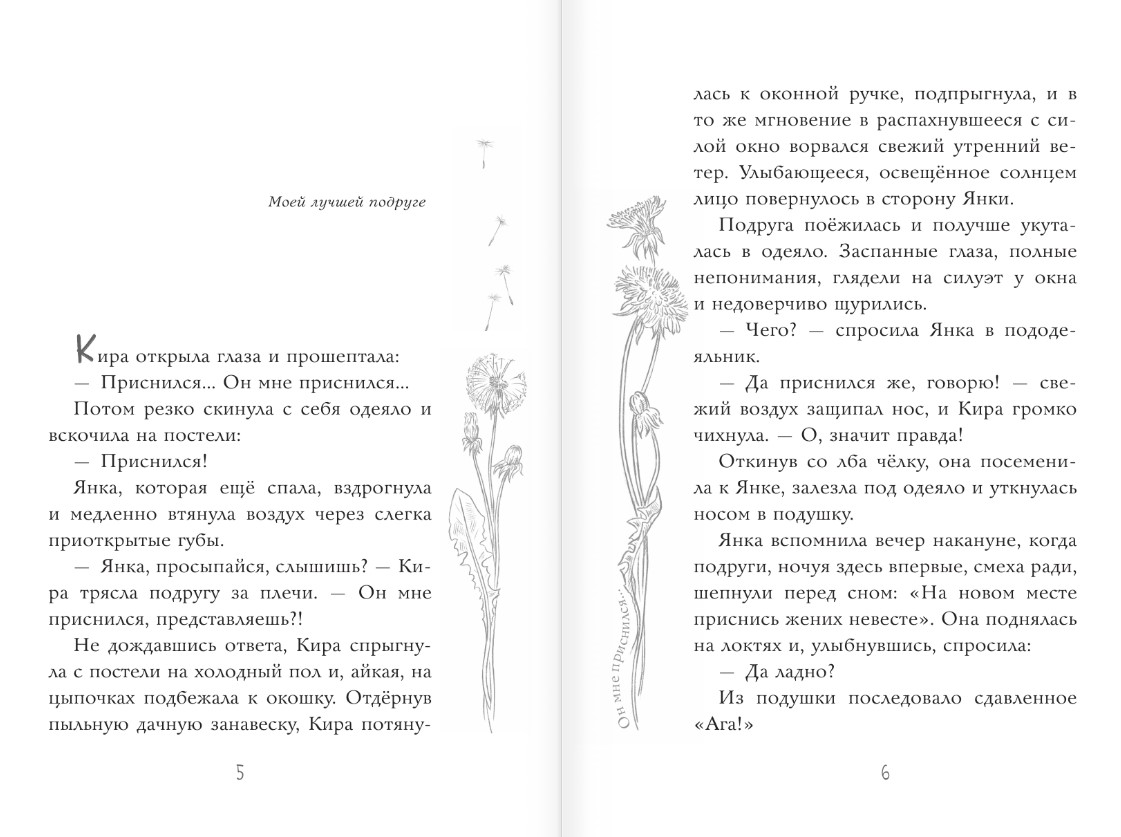Художественная книга АСТ Он мне приснился... Твердая обложка (Зартайская Ирина) — фото 5