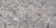 Плитка Meissen Floresta Цветы 17647 (600x1200, синий) -