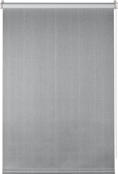 Рулонная штора Franc Gardiner Blackout Dublin 55x160 / 6533469 (серый)