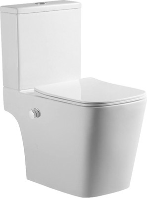 Унитаз напольный Amore di Mare N900X Tronto Bidet