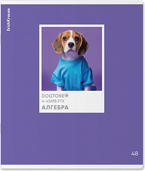 Тетрадь предметная Erich Krause DogTone Алгебра / 63349 (48л, клетка) - 