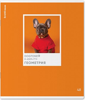 Тетрадь предметная Erich Krause DogTone Геометрия / 63350 (48л, клетка) - 