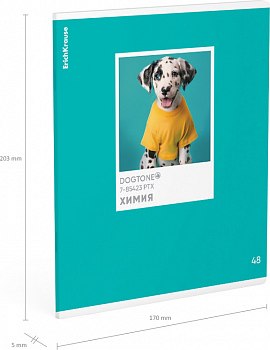 Тетрадь предметная Erich Krause DogTone Химия / 63352 (48л, клетка)