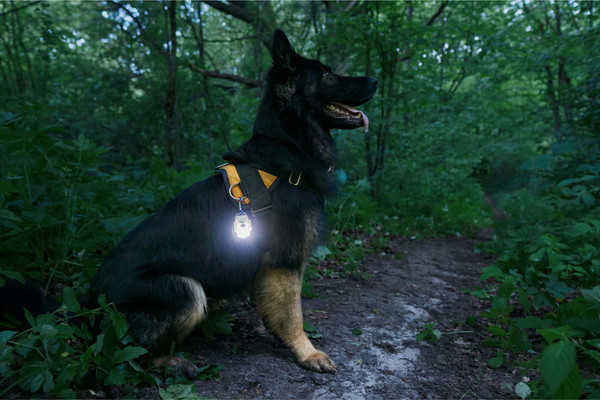 Фонарь Armytek Crystal Pro IR Grey / F10201GIR