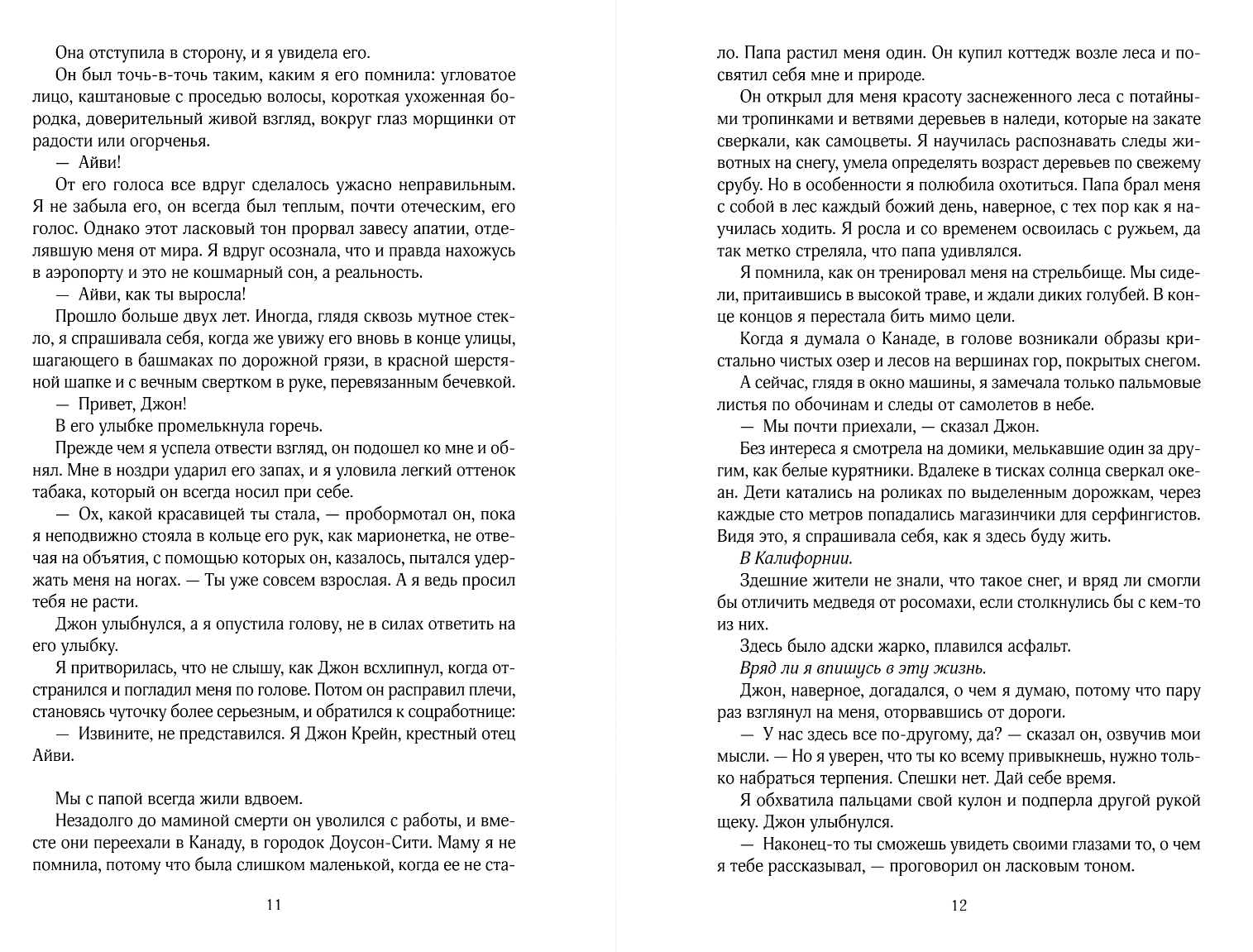 Художественная книга Like Book Заклинатель снега, мягкая обложка (Дум Эрин) — фото 6