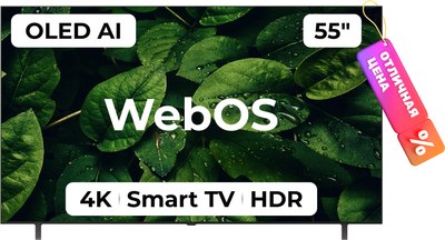 

Телевизор, 55" B5 OLED55B5RLA