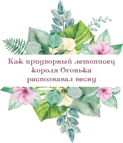 Книга СЗКЭО История о гномах и сиротке Марысе, твердая обложка (Конопницкая М. )