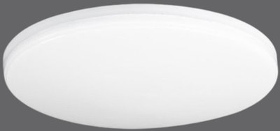 

Потолочный светильник, Neo Simple-95RC-WH / 4690612060897