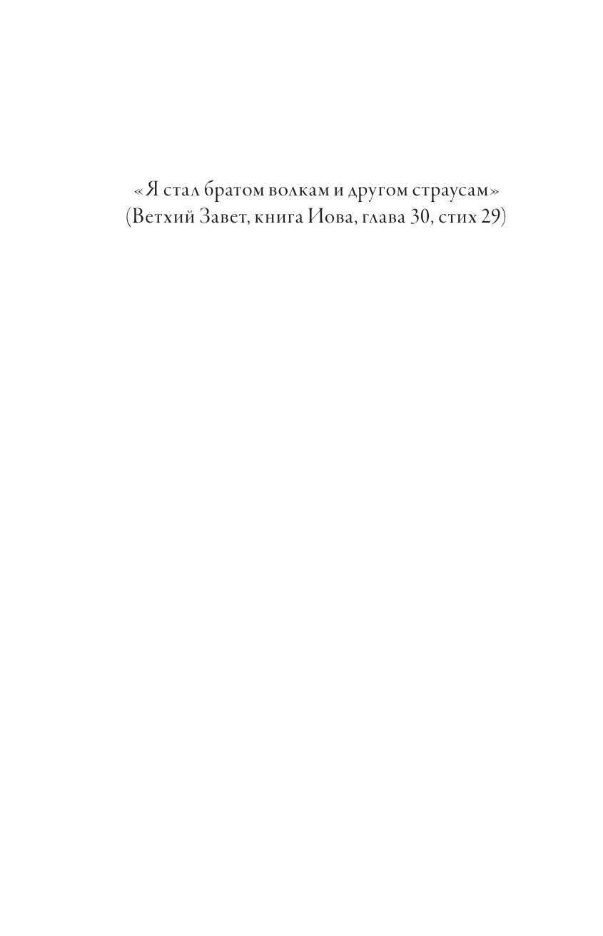 Художественная книга АСТ Брат волка. Том 2. Суд лунной ночью, твердая обложка (Хо Гё, Санса) — фото 5