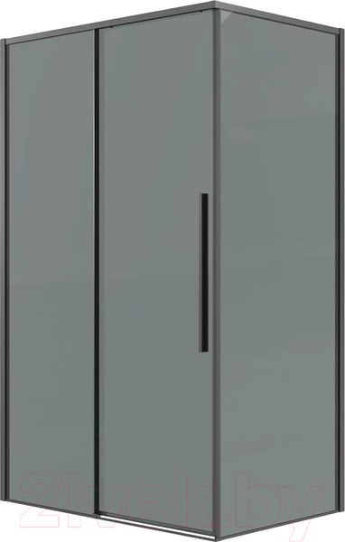 Купить Душевая стенка Grossman Galaxy 100х195 / 200.K33.01.100.42.10 в Борисове