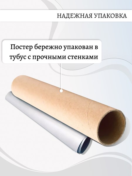 Постер Декарт 8П0017