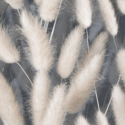 

Виниловые обои, Степь 108219