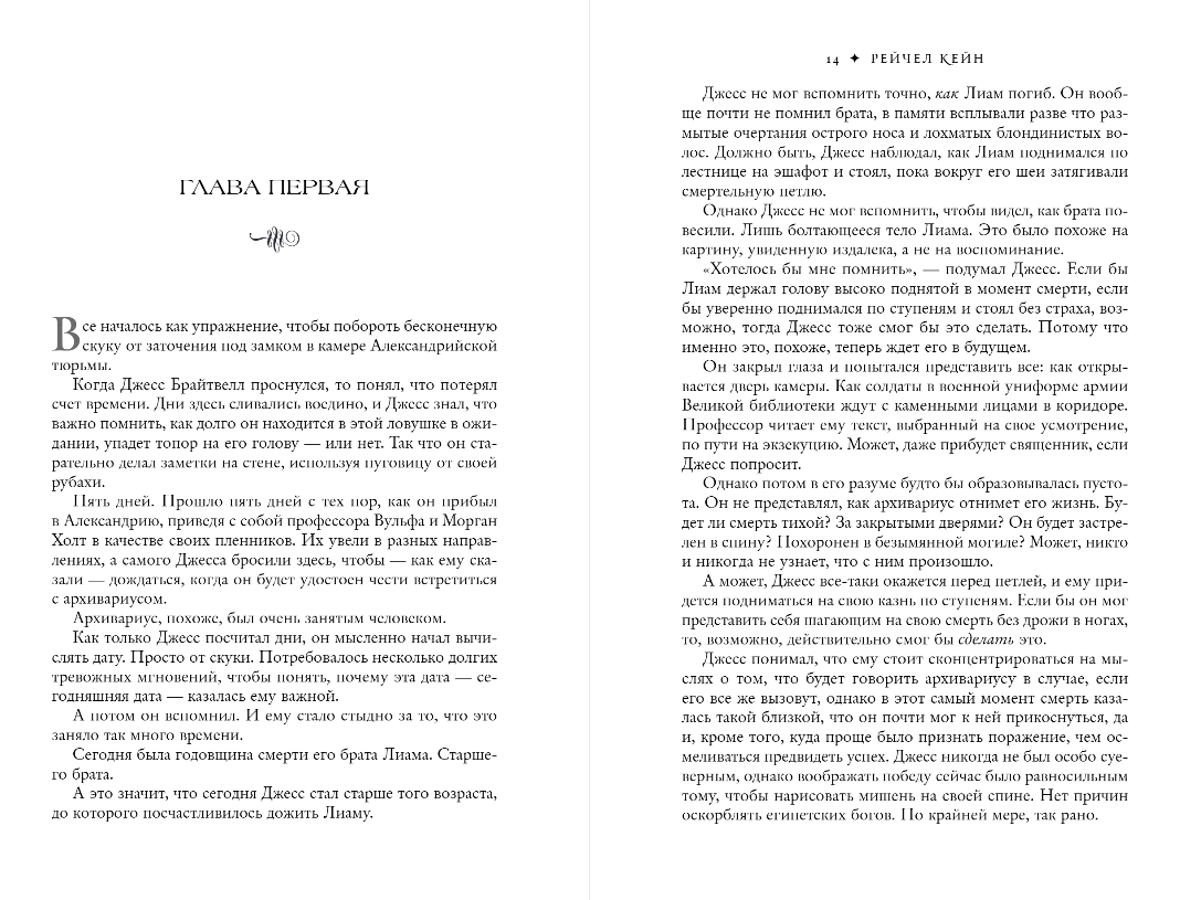 Художественная книга Like Book Дым и железо, твердая обложка (Кейн Рейчел) — фото 6