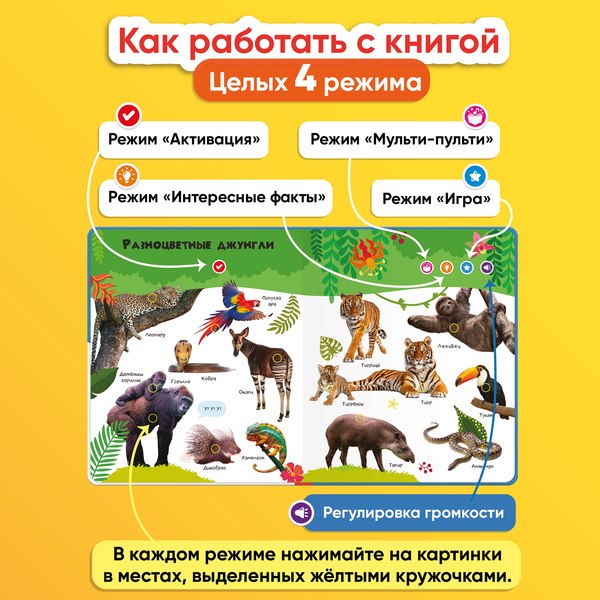 Набор развивающих книг BertToys Нажималка. Я и мир вокруг. Животные