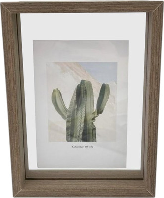 

Рамка, Cactus / FH577