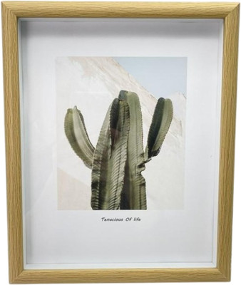 

Рамка, Indoor plants / FH1507-03