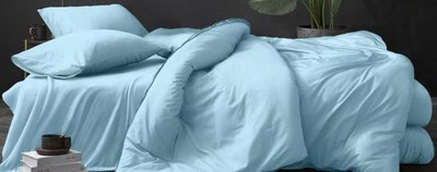 

Комплект постельного белья, № Голубой (N) 2.0 с европростыней