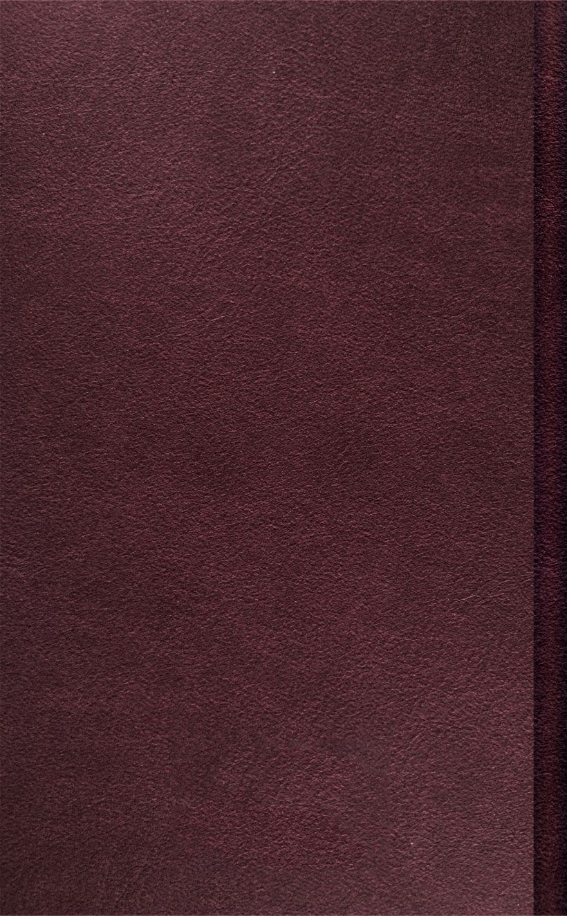 Художественная книга Эксмо Заброшенный вагон, твердая обложка (Розенбаум Александр) — фото 2