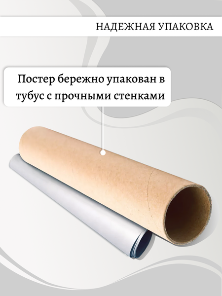 Постер Декарт 8П0025