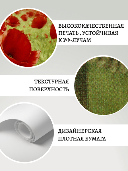 Постер Декарт 8П0025