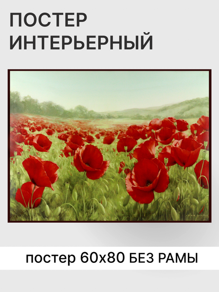 Постер Декарт 8П0025