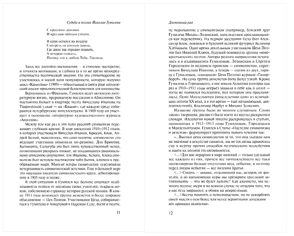 Художественная книга Эксмо Путь конквистадоров, мягкая обложка (Гумилев Николай) — фото 6