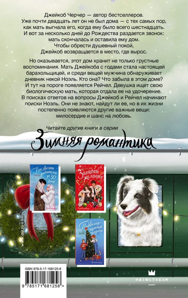 Художественная книга АСТ Дневник Ноэль, твердая обложка (Эванс Ричард) — фото 2