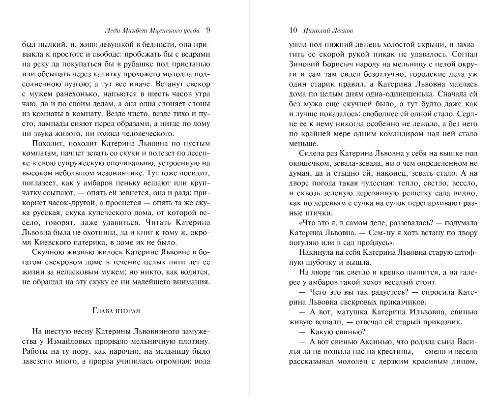 Художественная книга Эксмо Леди Макбет Мценского уезда, мягкая обложка (Лесков Николай) — фото 5