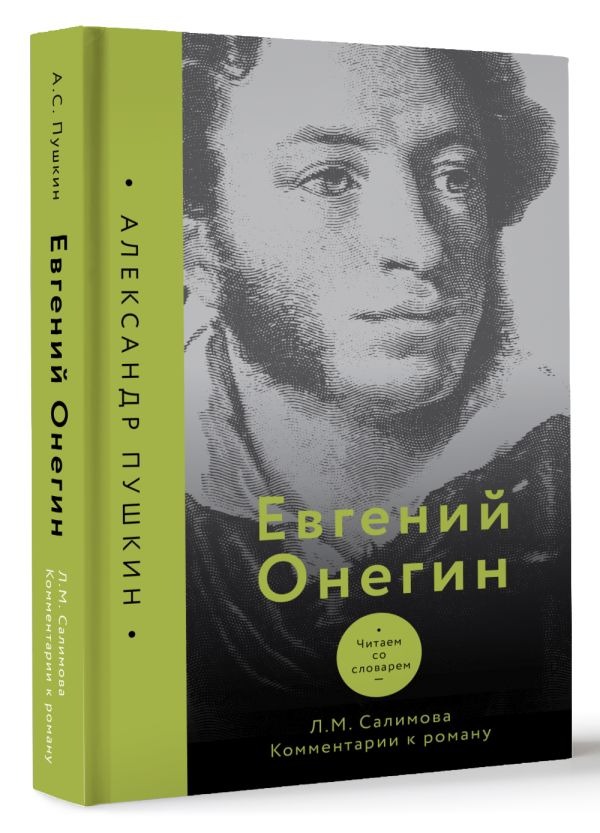 Художественная книга АСТ Евгений Онегин. Читаем со словарем. Комментарии к роману (Салимова Л.) — фото 2