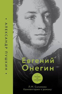 

Книга, Евгений Онегин. Читаем со словарем. Комментарии к роману