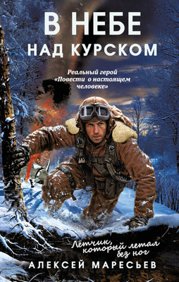 

Книга, В небе над Курском. Реальный герой