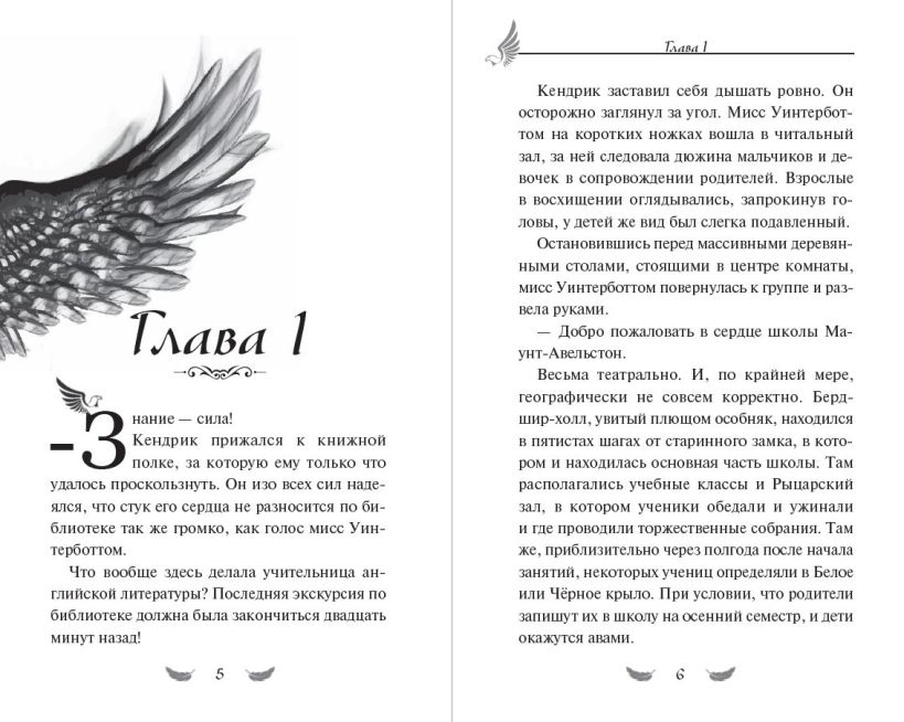 Художественная книга Эксмо Соколиный пик. Око бури, твердая обложка (Вольц Хайко) — фото 2