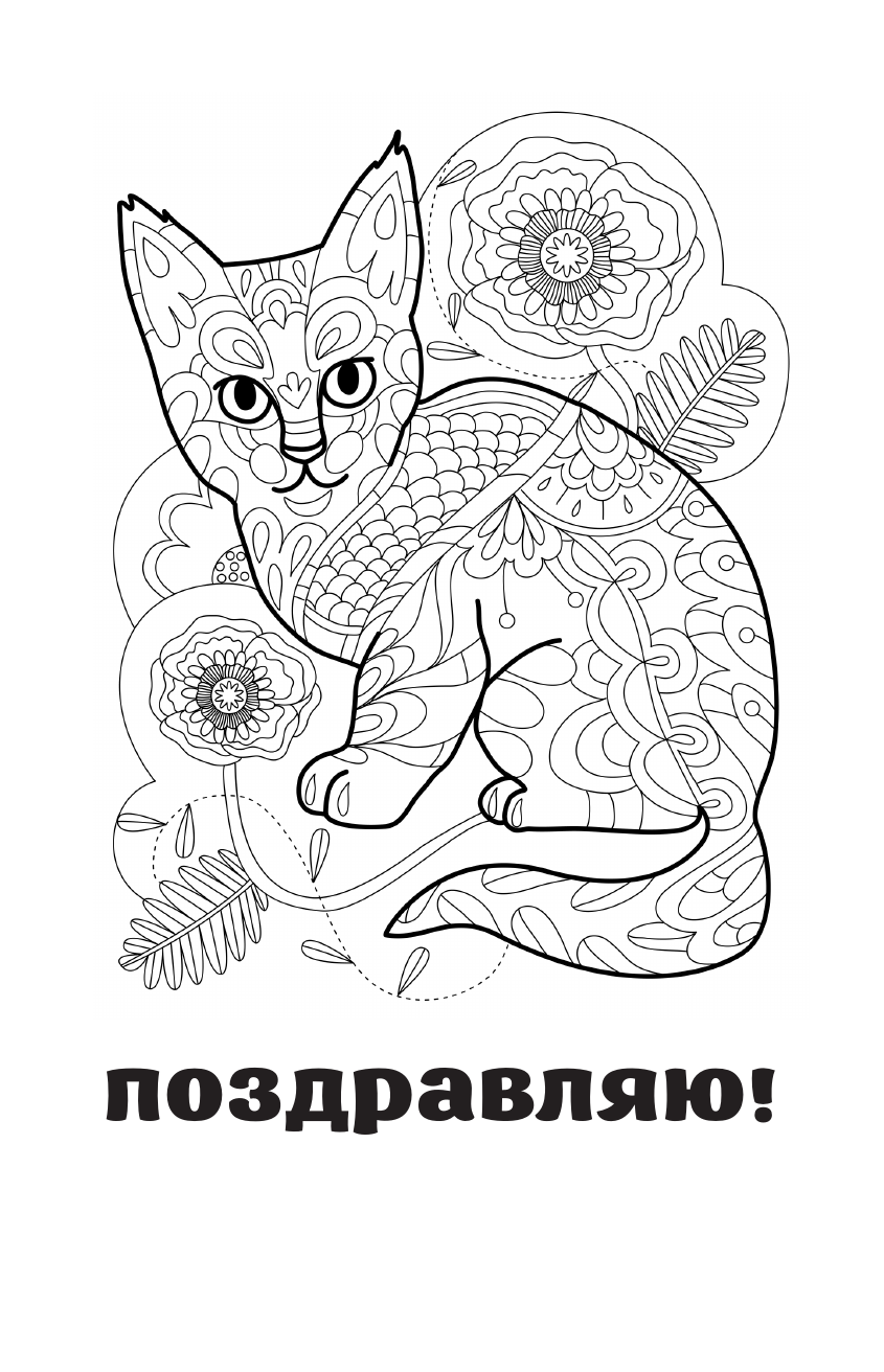 Раскраска-антистресс АСТ Каждому нужен котик. Открытка-раскраска (Андерсен Матильда) — фото 2