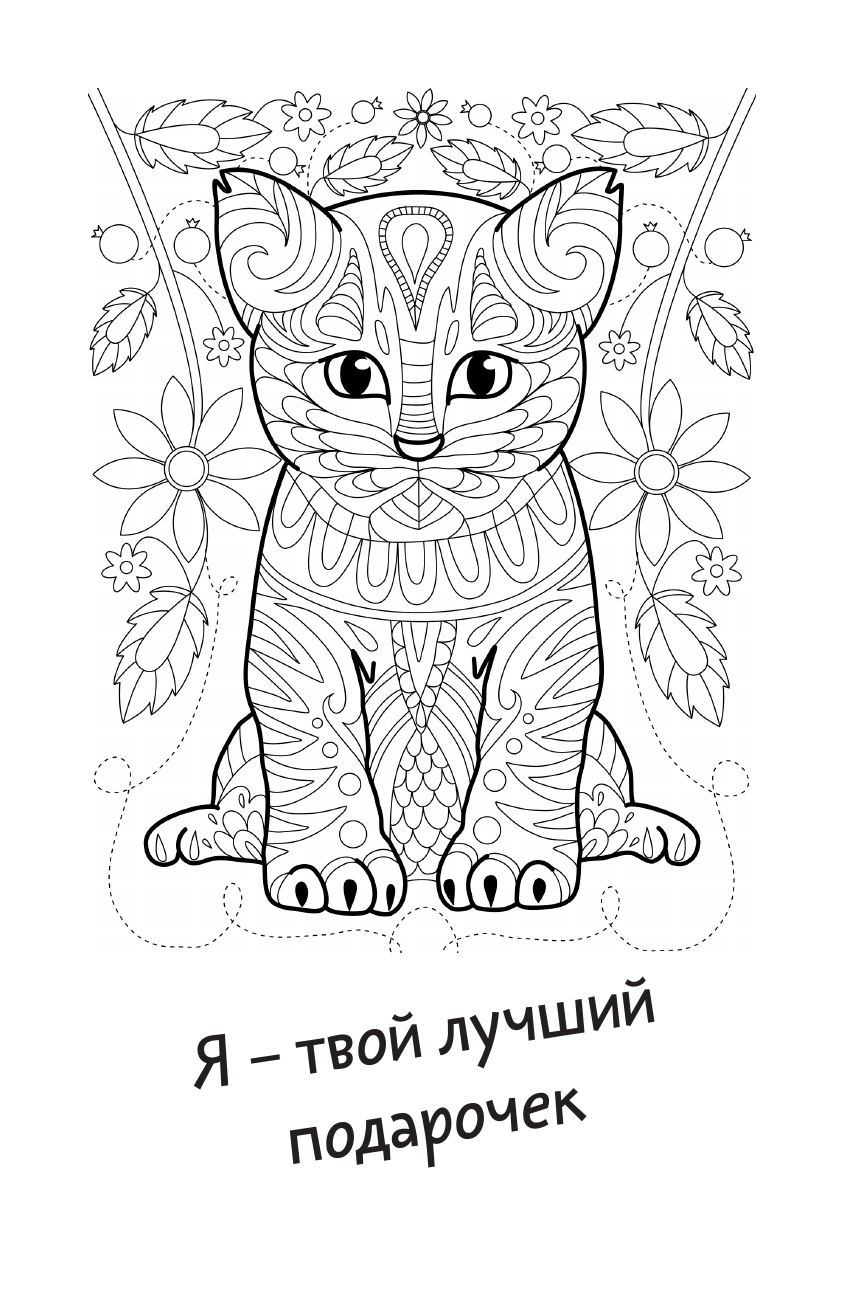 Раскраска-антистресс АСТ Каждому нужен котик. Открытка-раскраска (Андерсен Матильда) — фото 4
