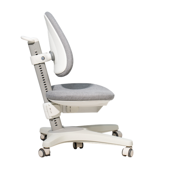 Купить Кресло растущее Ergosmart Maximus в Слуцке